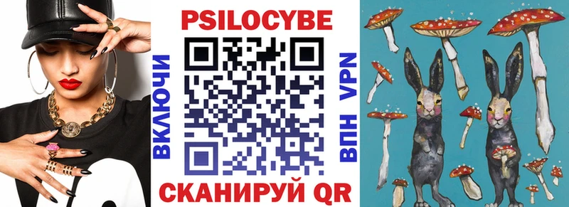 МЕГА зеркало  Зеленогорск  Галлюциногенные грибы Cubensis 