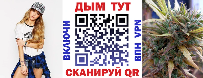 наркошоп  Зеленогорск  МАРИХУАНА сатива 